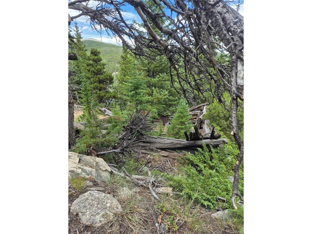 1900 County Road 128J, Nederland, CO 80466