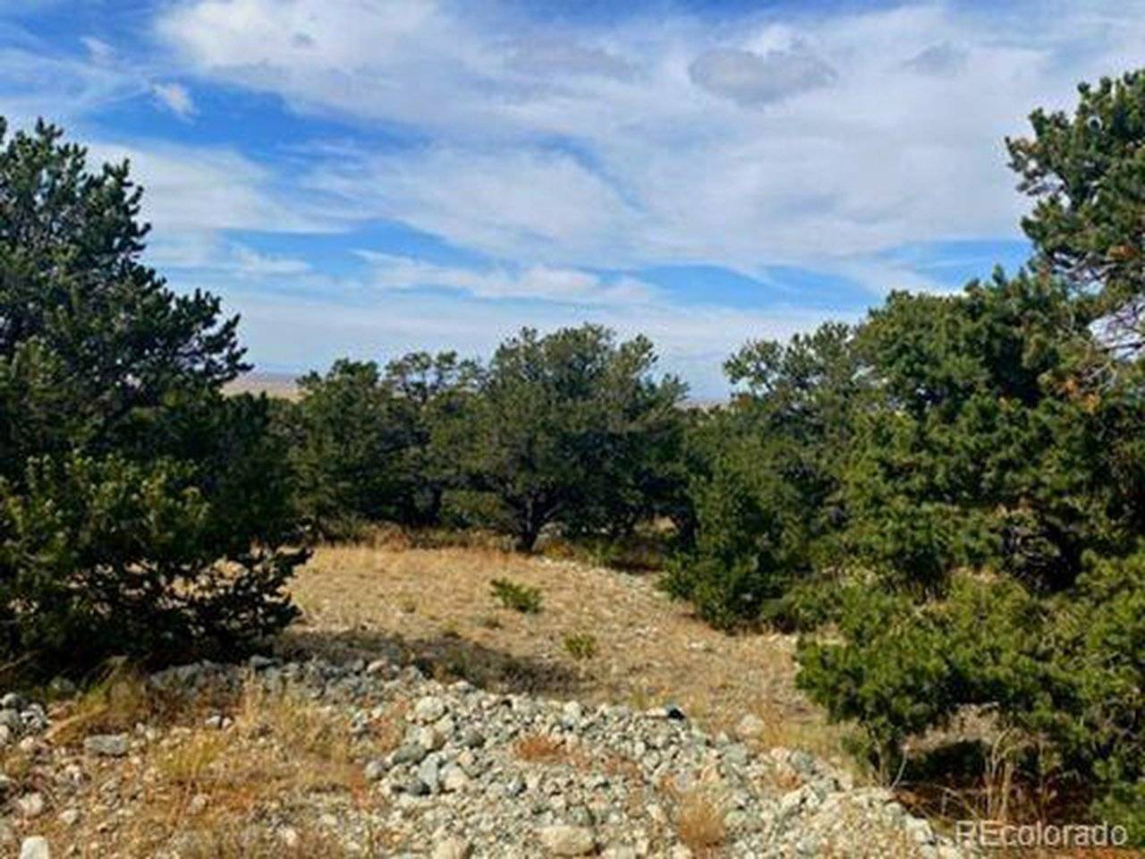 0 Mill Run, Mosca, CO 81101