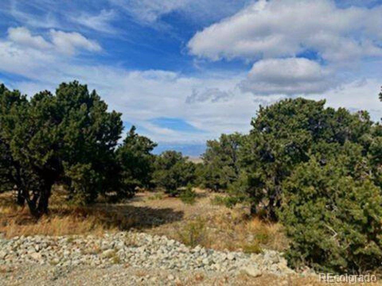 0 Mill Run, Mosca, CO 81101