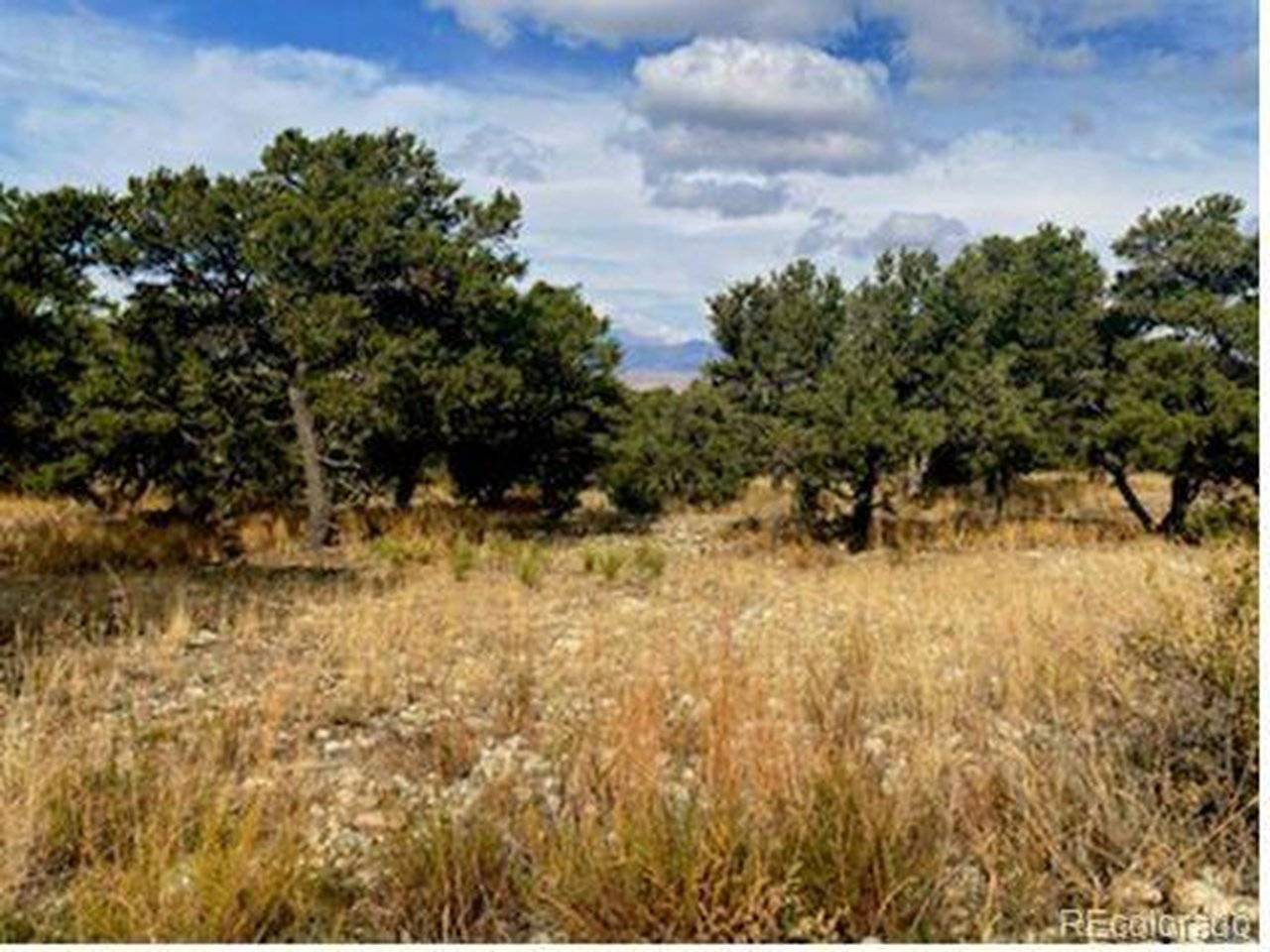 0 Mill Run, Mosca, CO 81101
