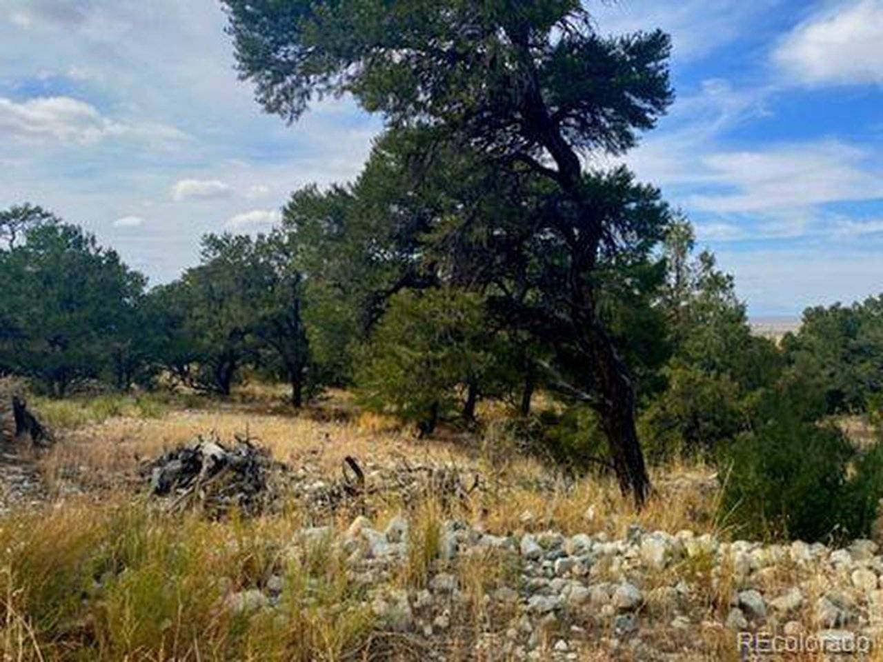 0 Mill Run, Mosca, CO 81101