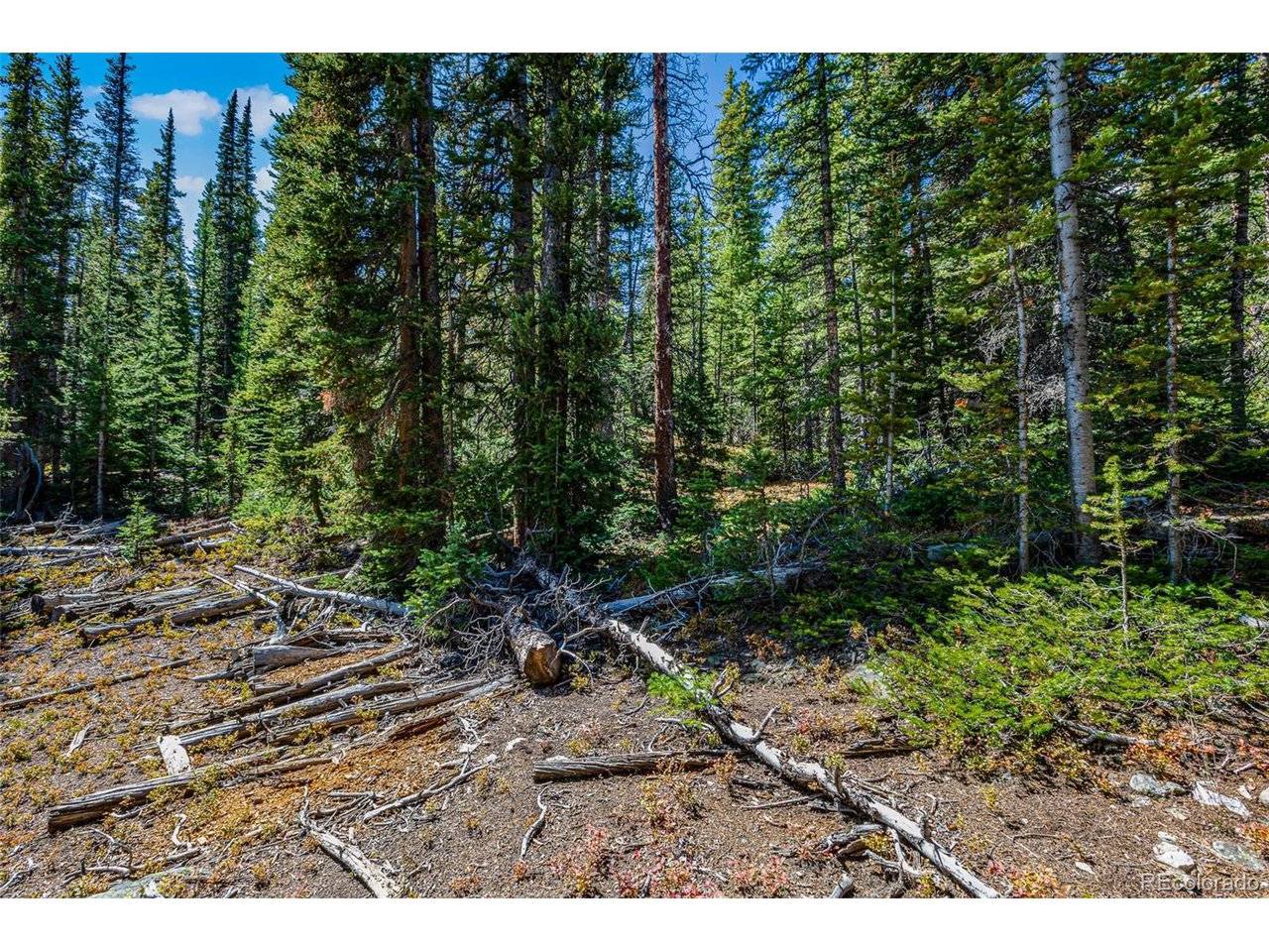 245 El Lobo, Fairplay, CO 80440