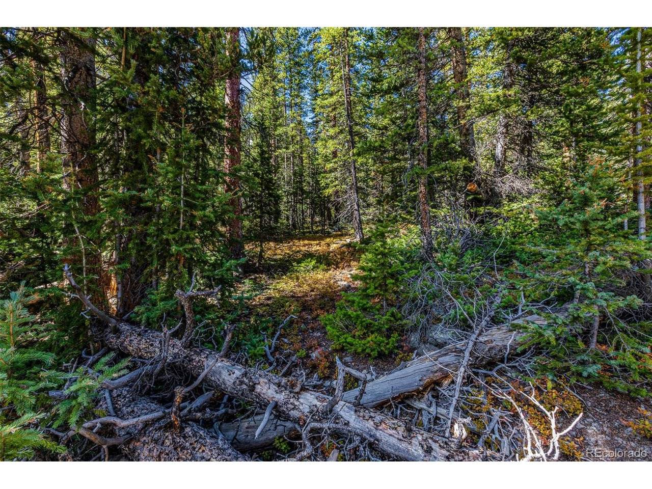 245 El Lobo, Fairplay, CO 80440