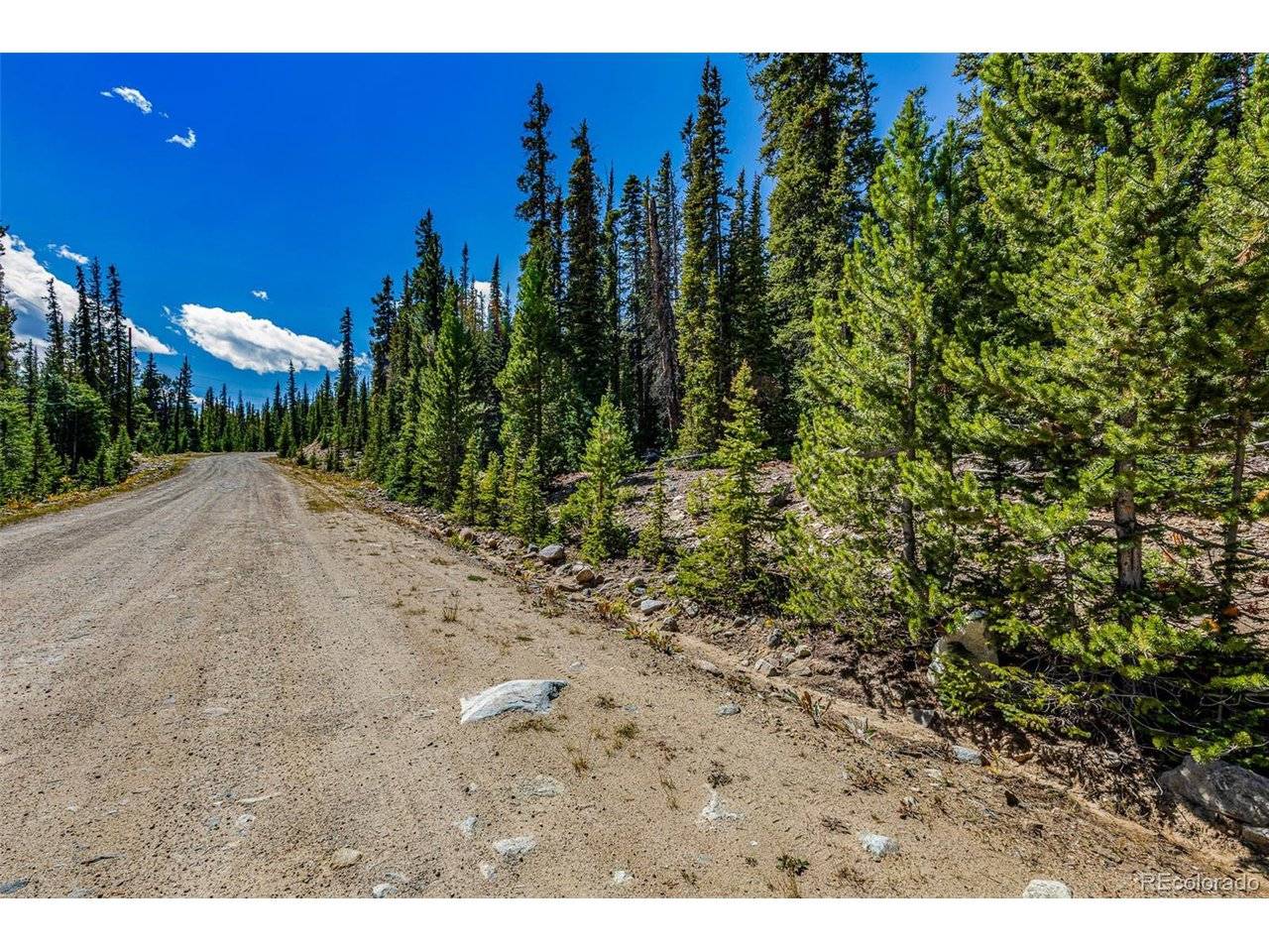 245 El Lobo, Fairplay, CO 80440