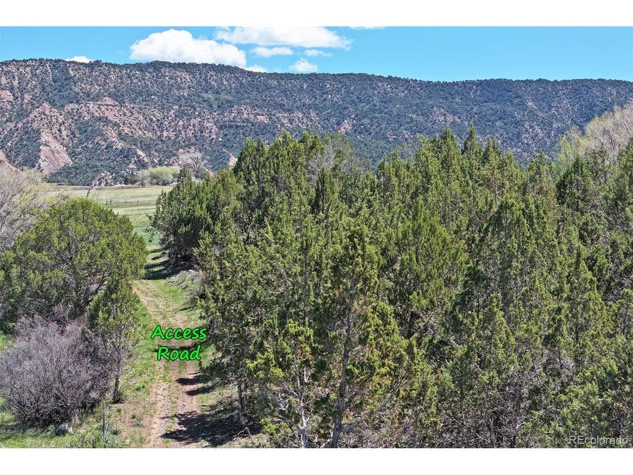 Address not disclosed, Collbran, CO 81624