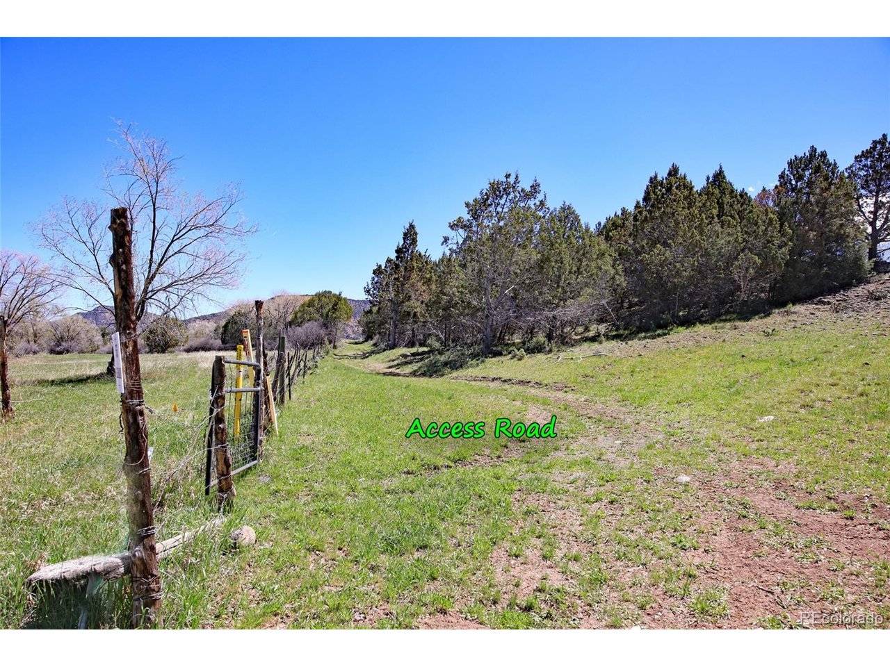 Address not disclosed, Collbran, CO 81624