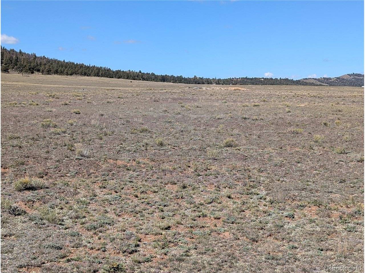 2895 Summit, Hartsel, CO 80449