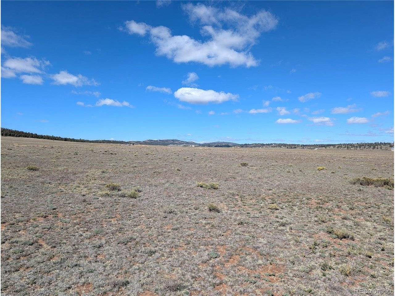 2895 Summit, Hartsel, CO 80449