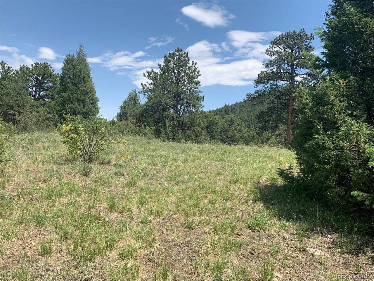 0 Douglas Mtn, Golden, CO 80403