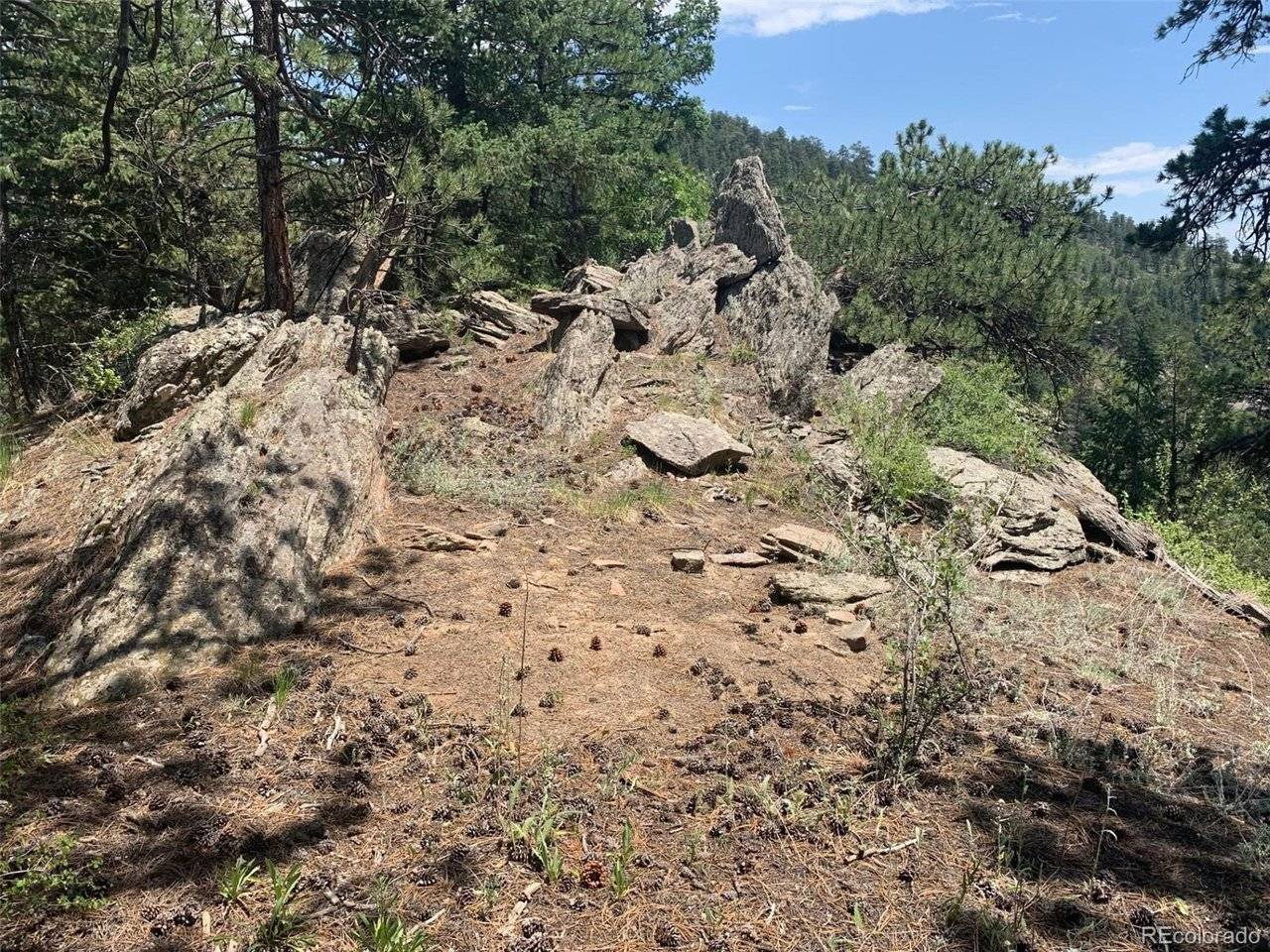 0 Douglas Mtn, Golden, CO 80403