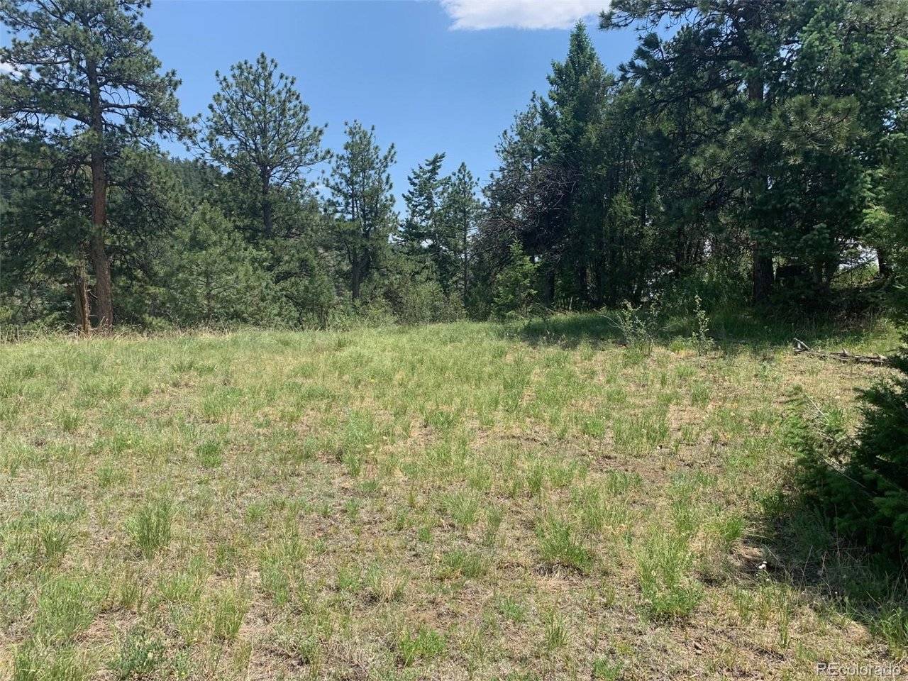 0 Douglas Mtn, Golden, CO 80403