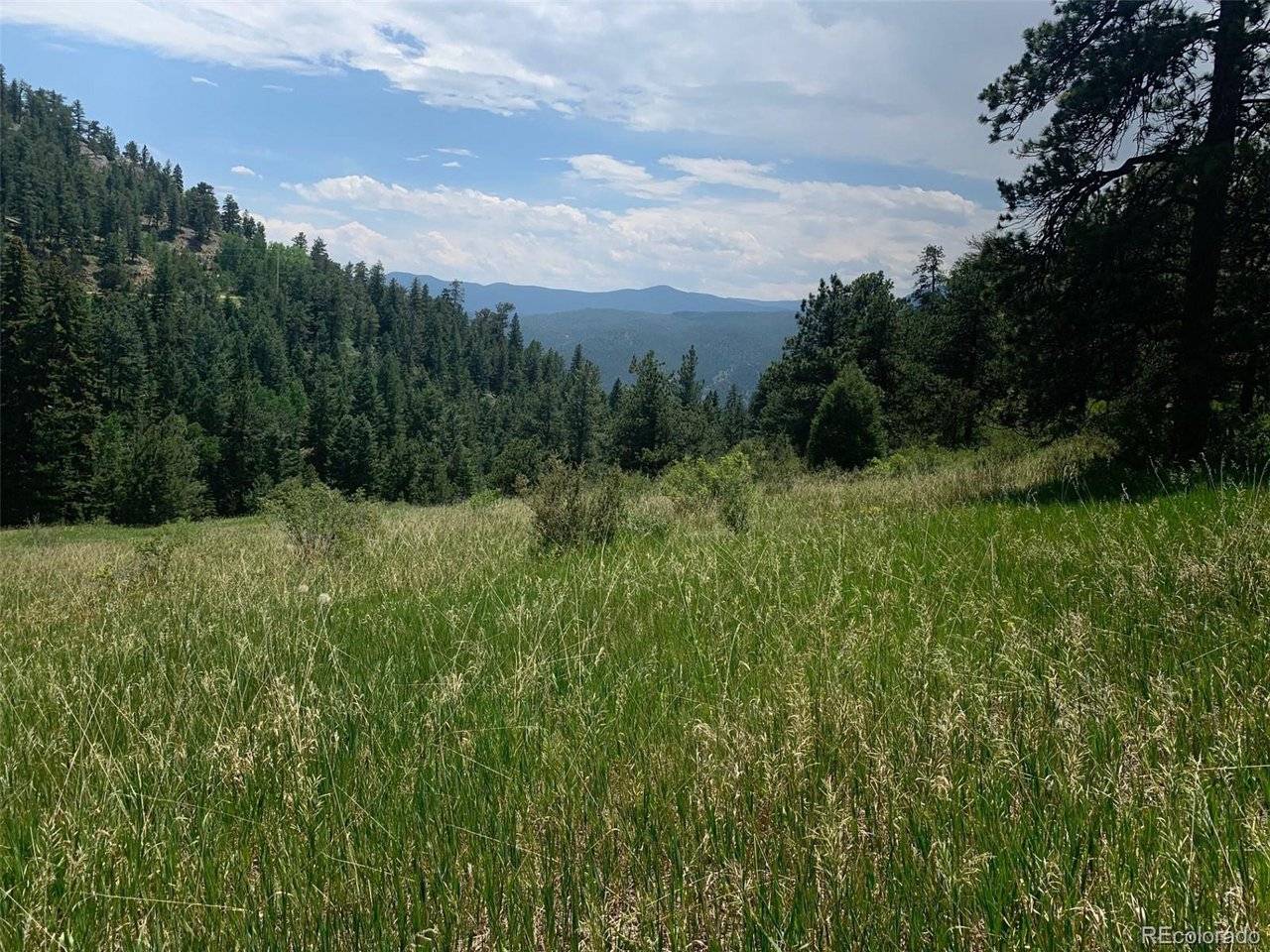 0 Douglas Mtn, Golden, CO 80403