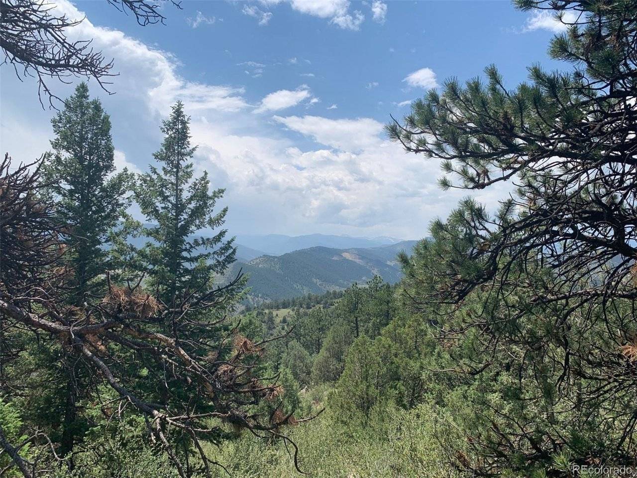 0 Douglas Mtn, Golden, CO 80403
