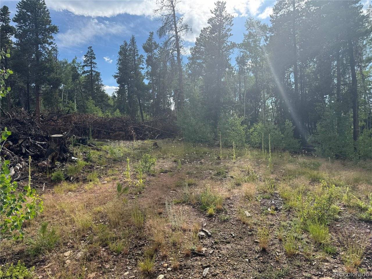 1 Church Placer, Central City, CO 80427