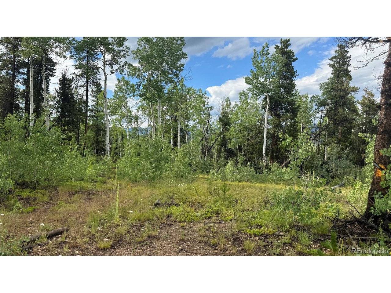 1 Church Placer, Central City, CO 80427