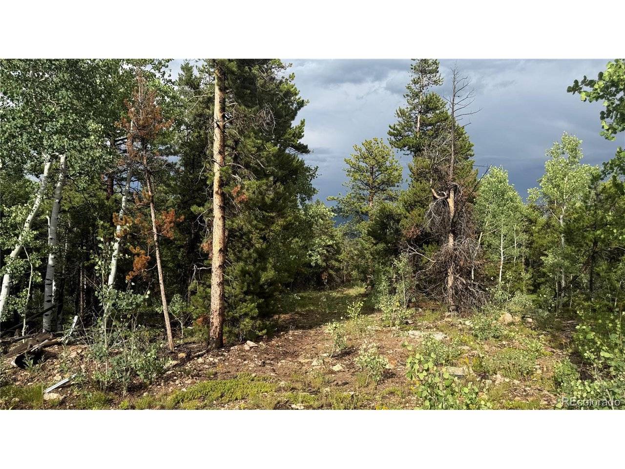1 Church Placer, Central City, CO 80427