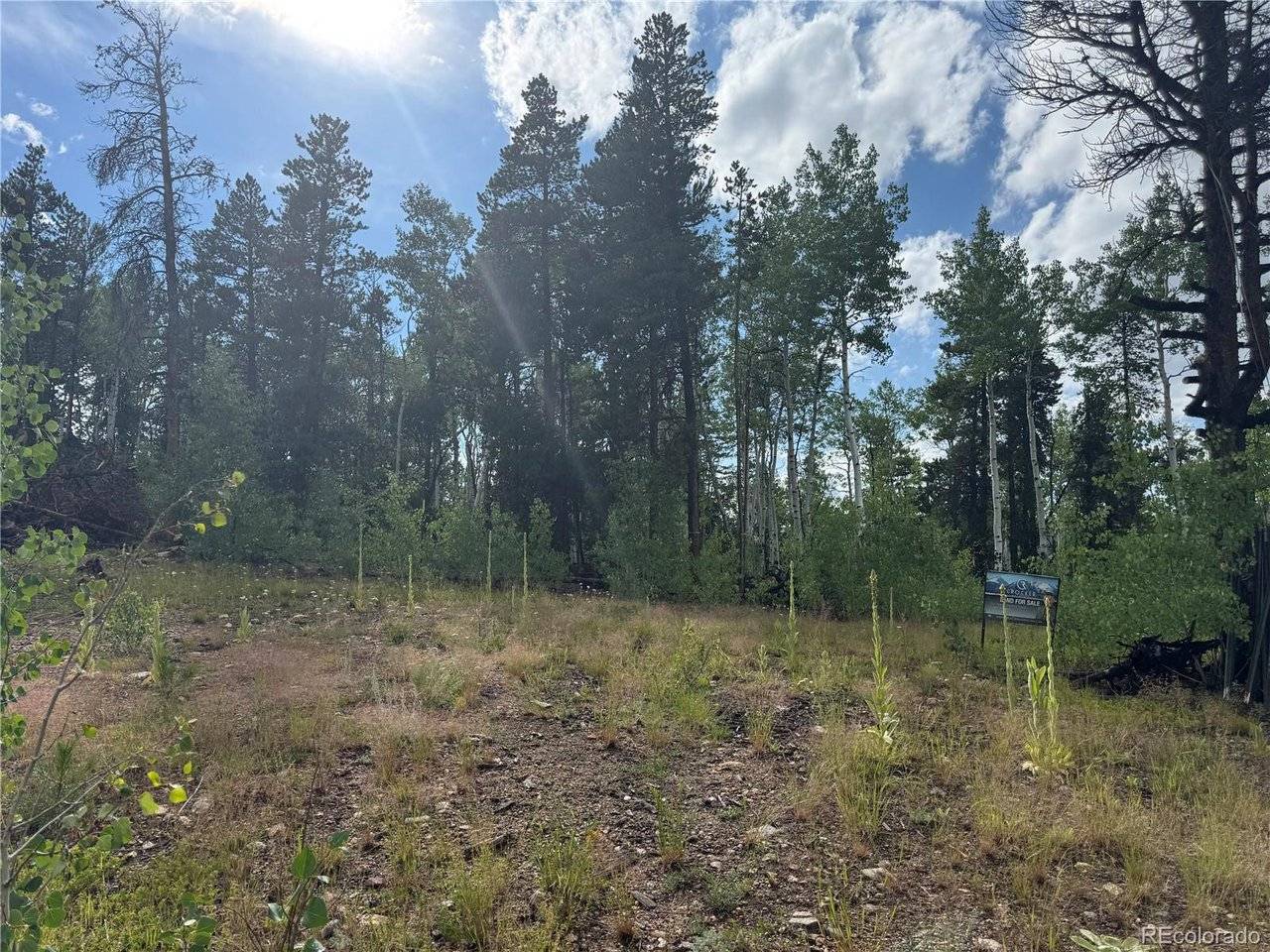 1 Church Placer, Central City, CO 80427