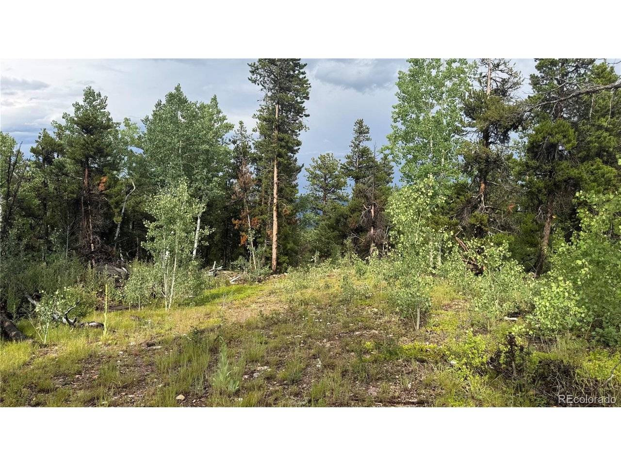 1 Church Placer, Central City, CO 80427
