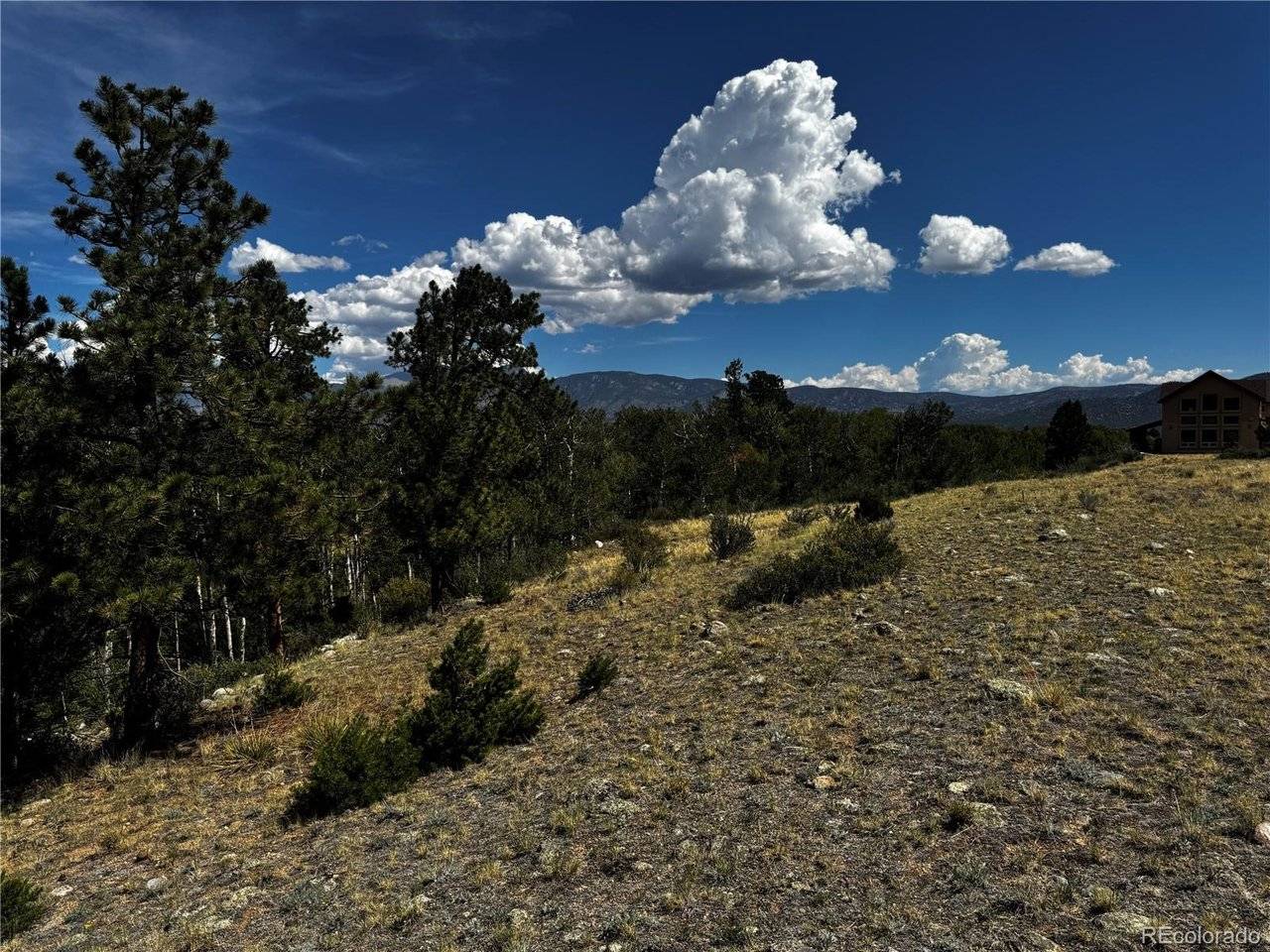 17520 County Road 306, Buena Vista, CO 81211