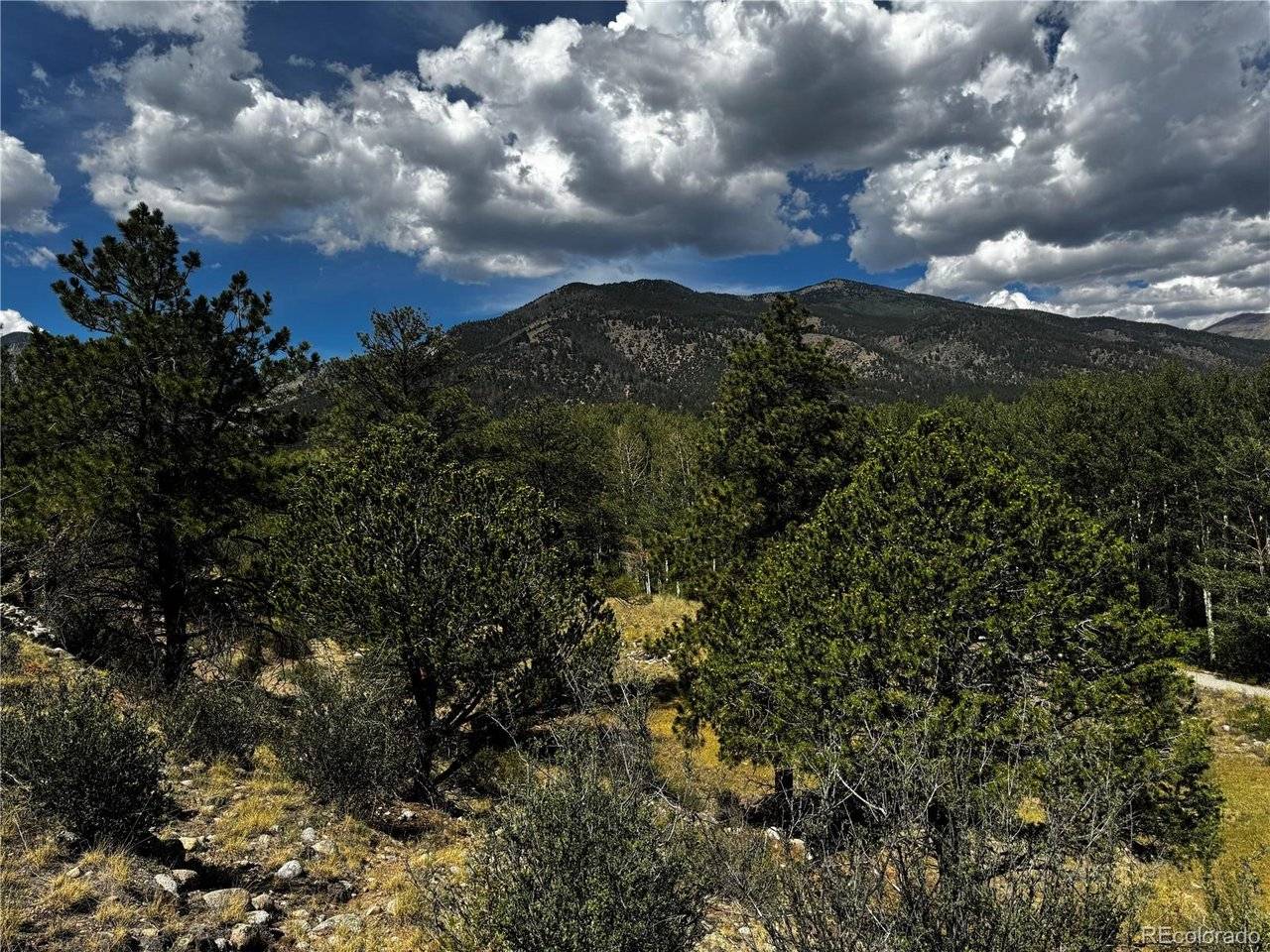 17520 County Road 306, Buena Vista, CO 81211