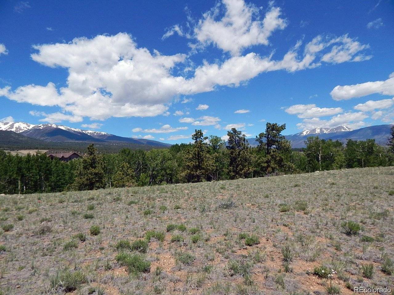 17520 County Road 306, Buena Vista, CO 81211