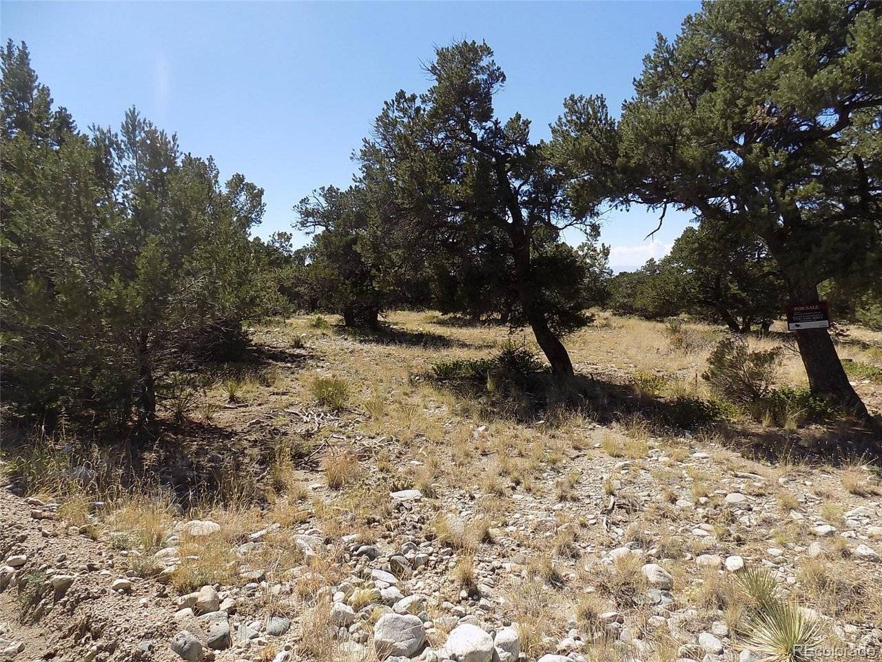 Mill Run, Mosca, CO 81146