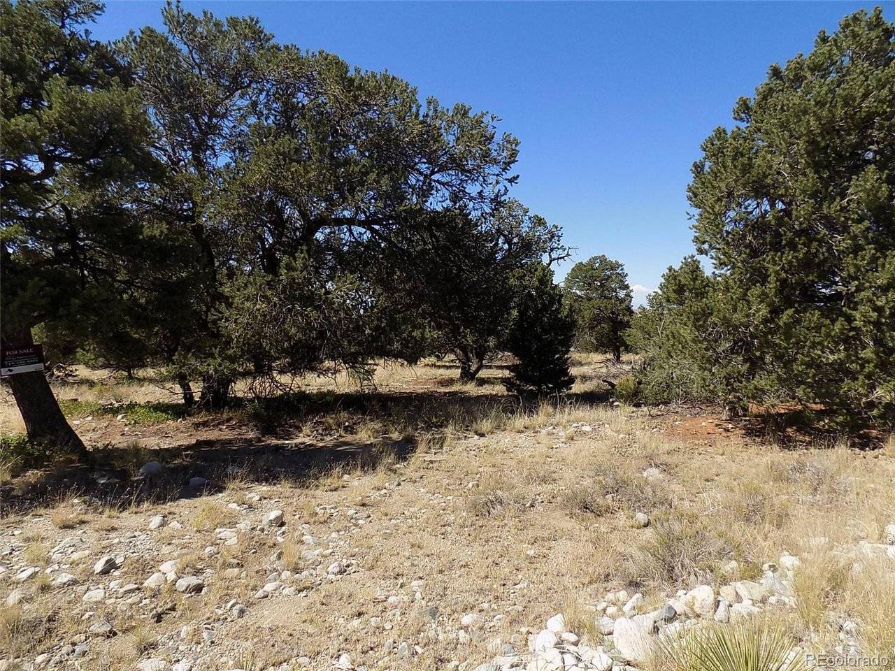 Mill Run, Mosca, CO 81146
