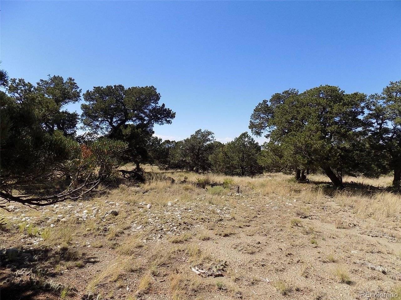 Mill Run, Mosca, CO 81146