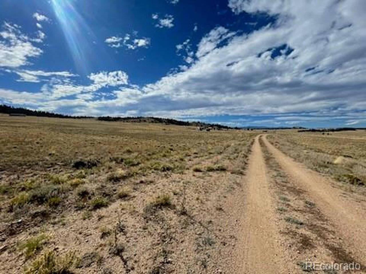 Black Beaver, Hartsel, CO 80449