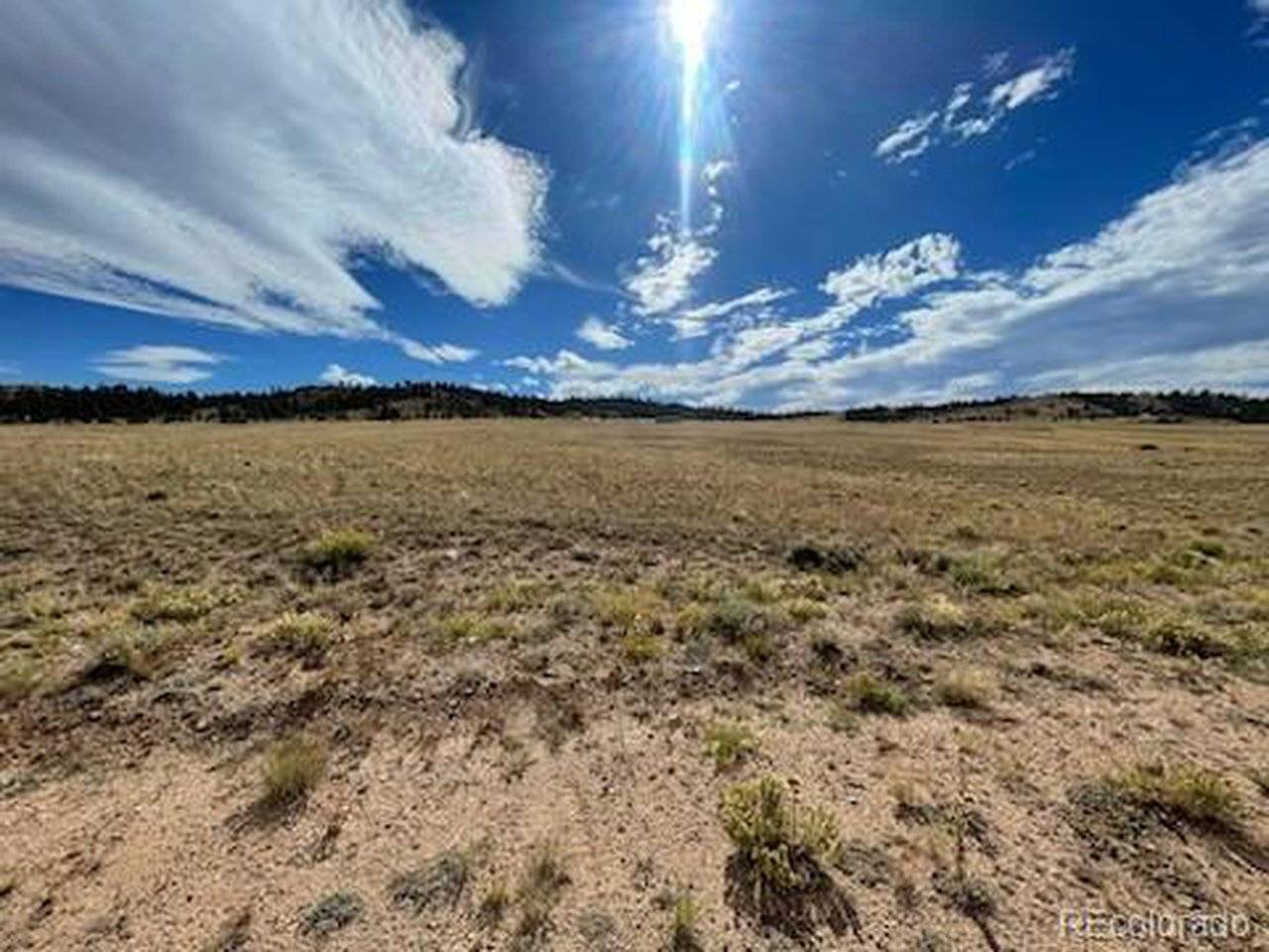 Black Beaver, Hartsel, CO 80449