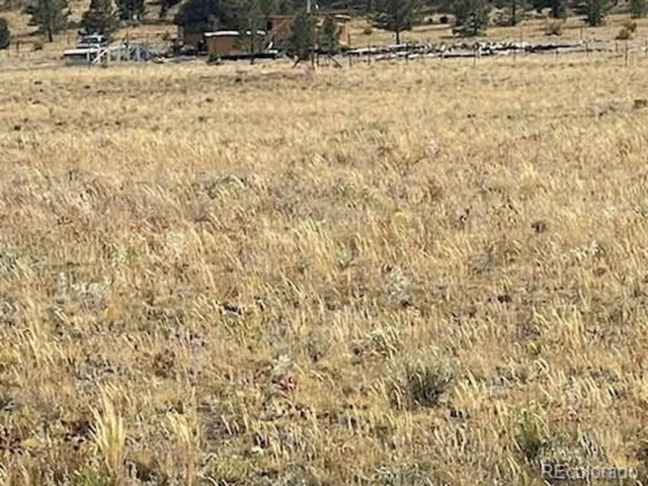 Black Beaver, Hartsel, CO 80449