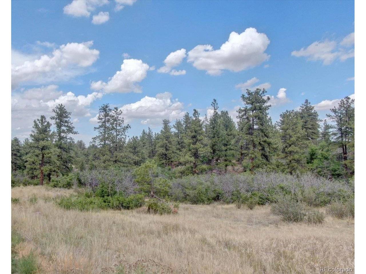 11011 Sunset Oaks, Franktown, CO 80116