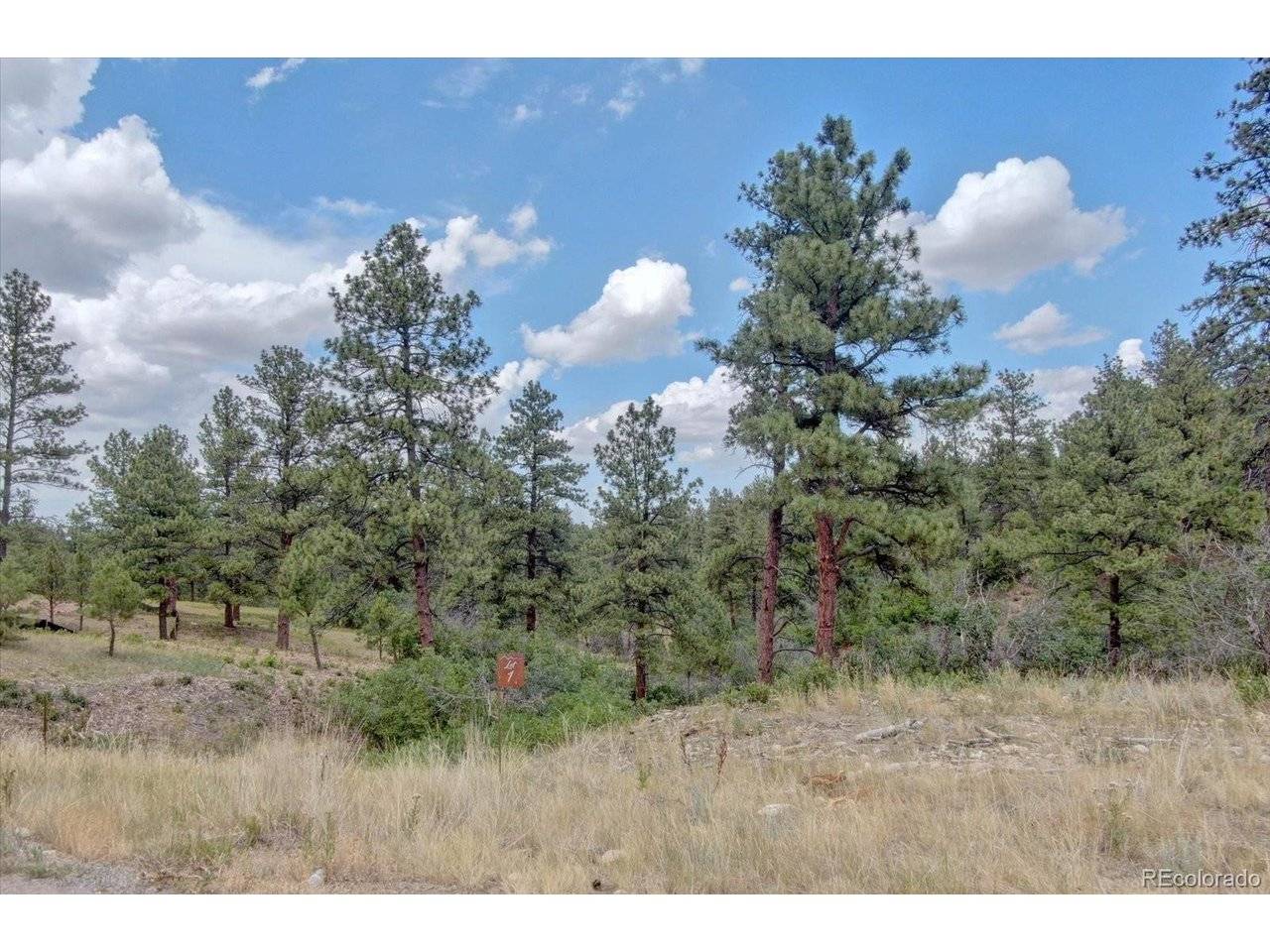 11011 Sunset Oaks, Franktown, CO 80116