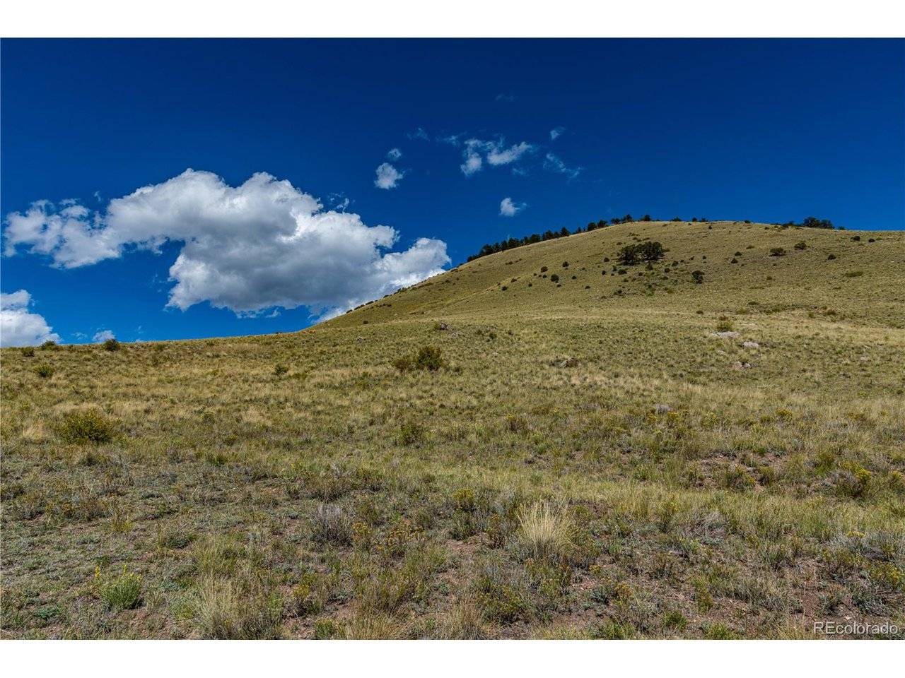 340 Huntley, Cotopaxi, CO 81223