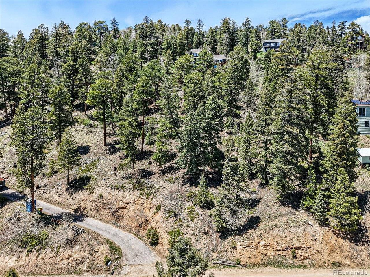 11618 Nichols, Conifer, CO 80433