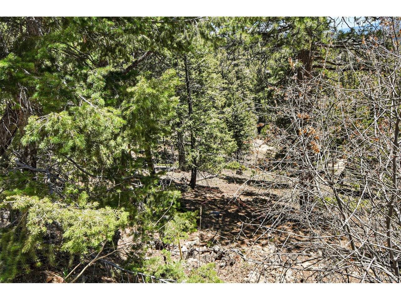 11618 Nichols, Conifer, CO 80433