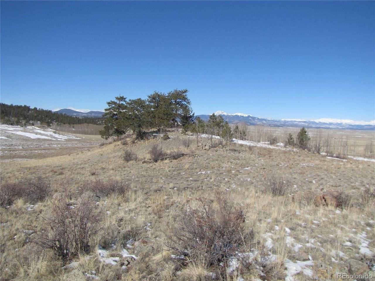 8808 County Road 53, Hartsel, CO 80449