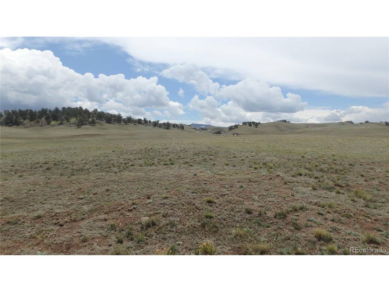 Delaware, Hartsel, CO 80449