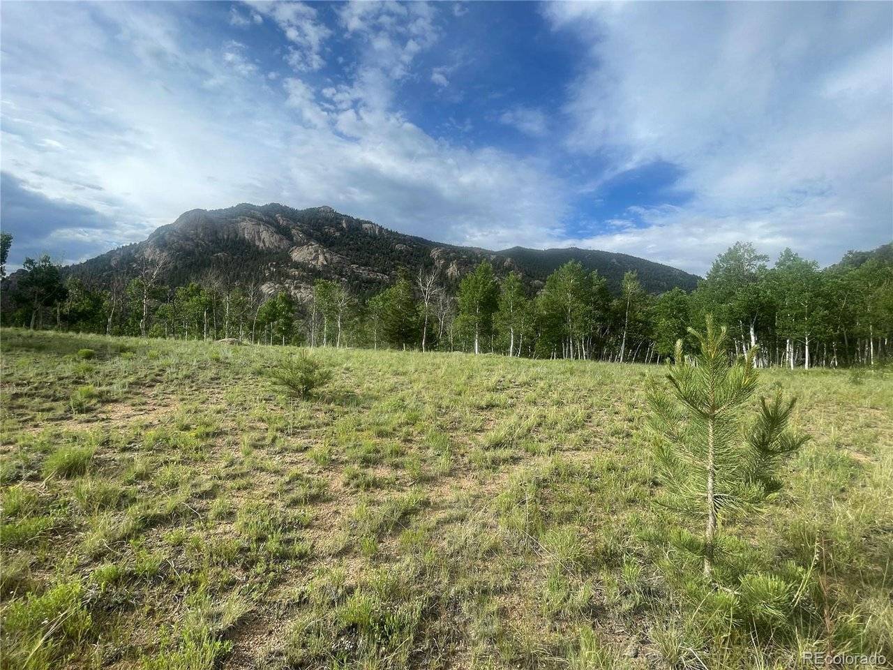 171 Emerald, Lake George, CO 80827