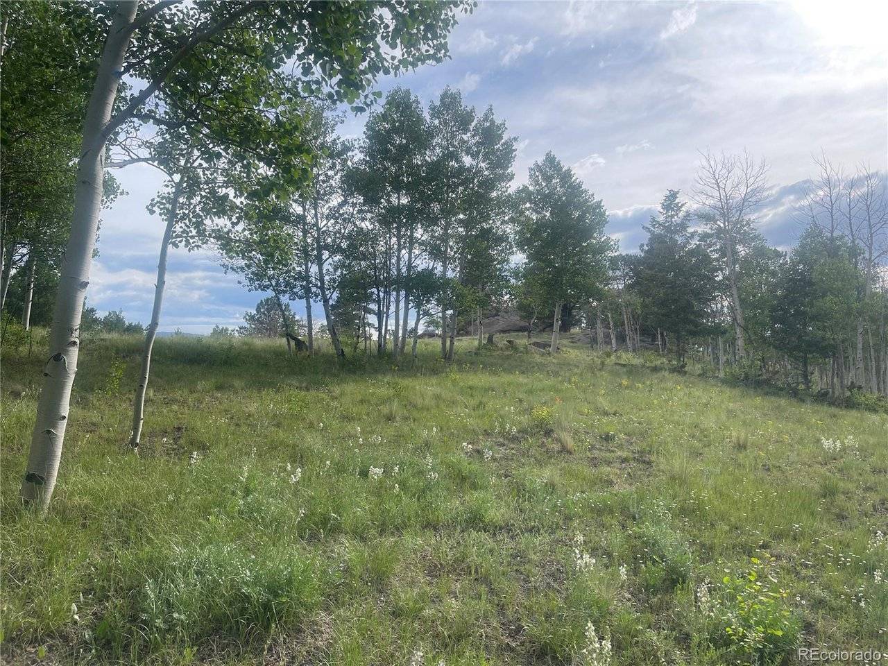 171 Emerald, Lake George, CO 80827