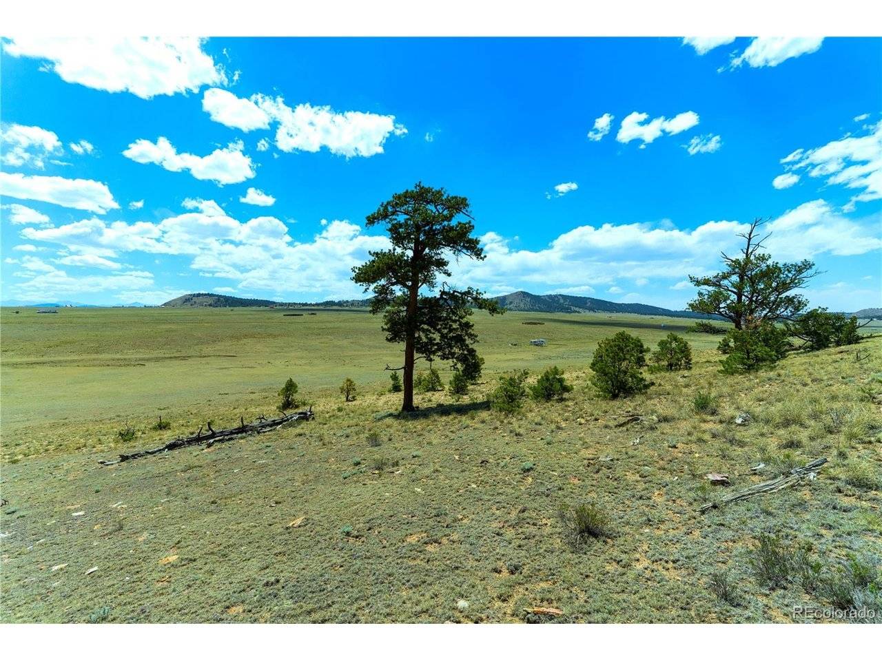 1408 Larimer, Hartsel, CO 80449