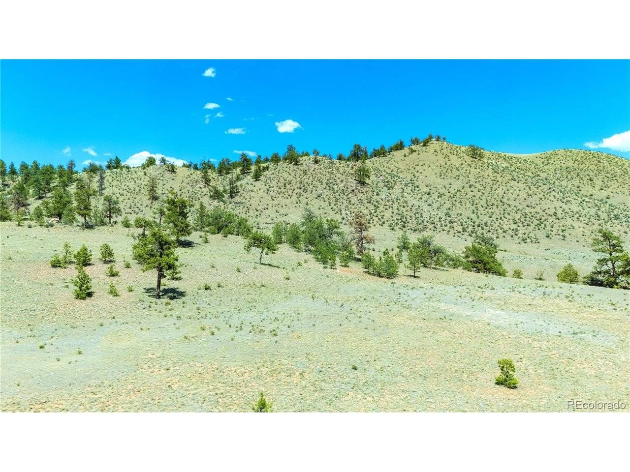 1408 Larimer, Hartsel, CO 80449