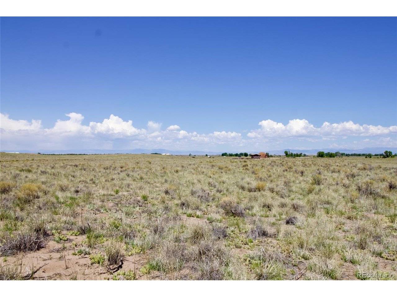 236 Rainbow Trout, Crestone, CO 81131