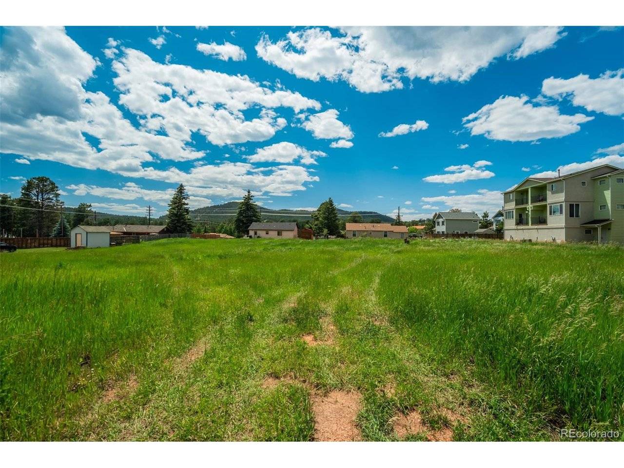 Baldwin, Woodland Park, CO 80863