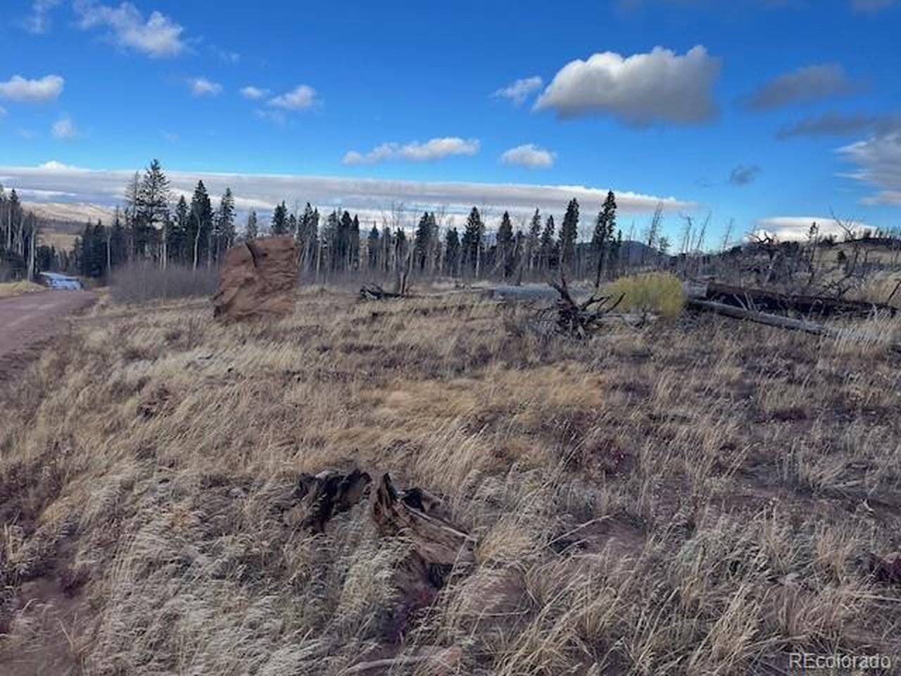 2544 Petito, Fort Garland, CO 81133