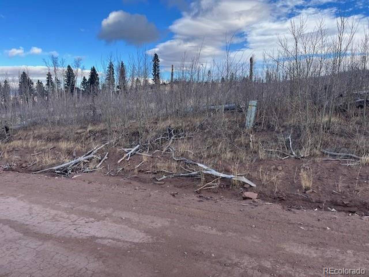 2544 Petito, Fort Garland, CO 81133
