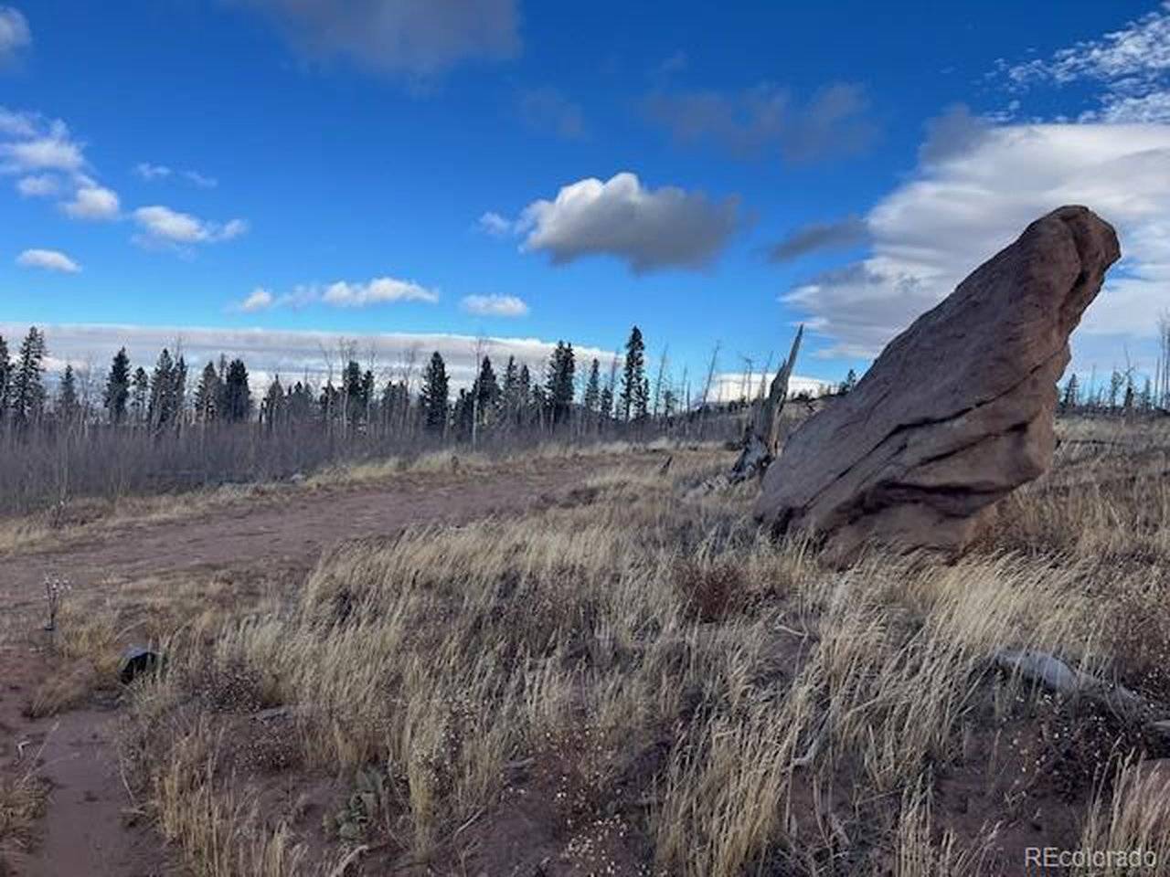 2544 Petito, Fort Garland, CO 81133