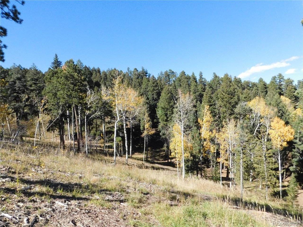 13886 Boulder, Larkspur, CO 80118