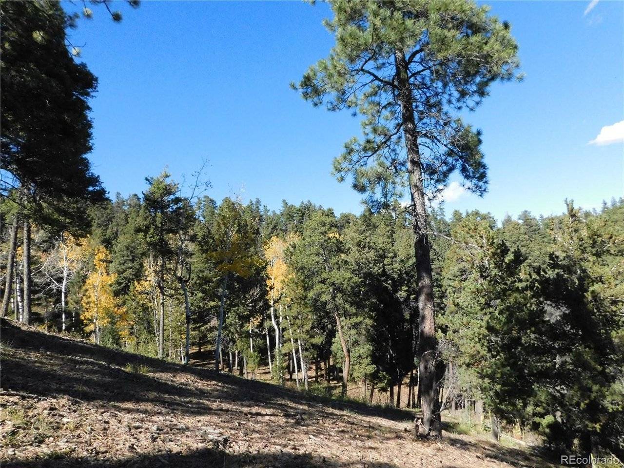 13886 Boulder, Larkspur, CO 80118