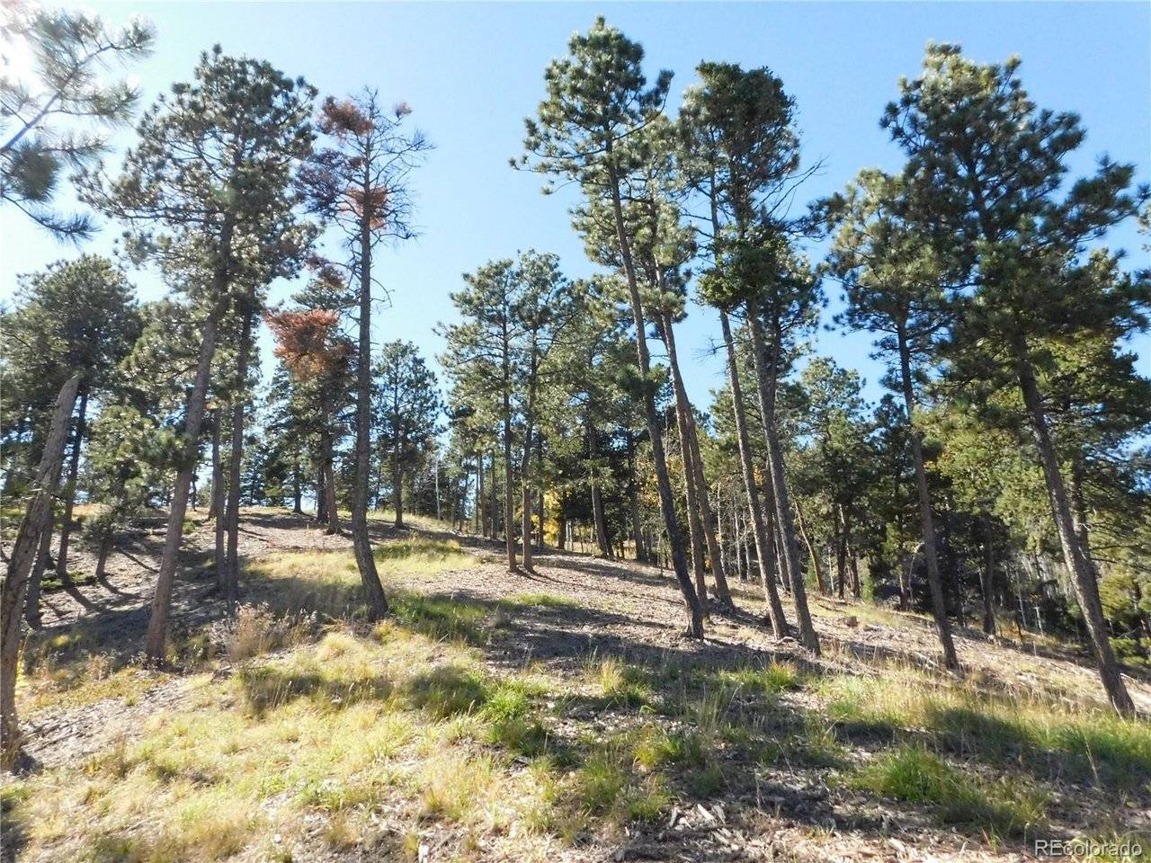 13886 Boulder, Larkspur, CO 80118